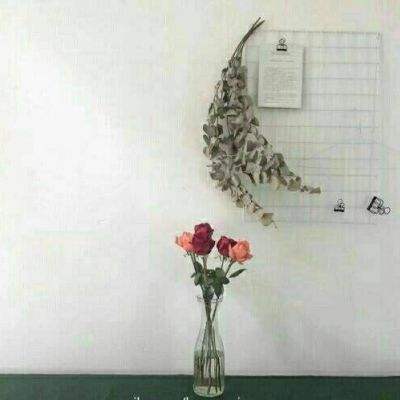 乐动音速手游
